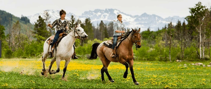 Confident plus-size woman riding Stowmarket a horse through a field with a smile on her face.